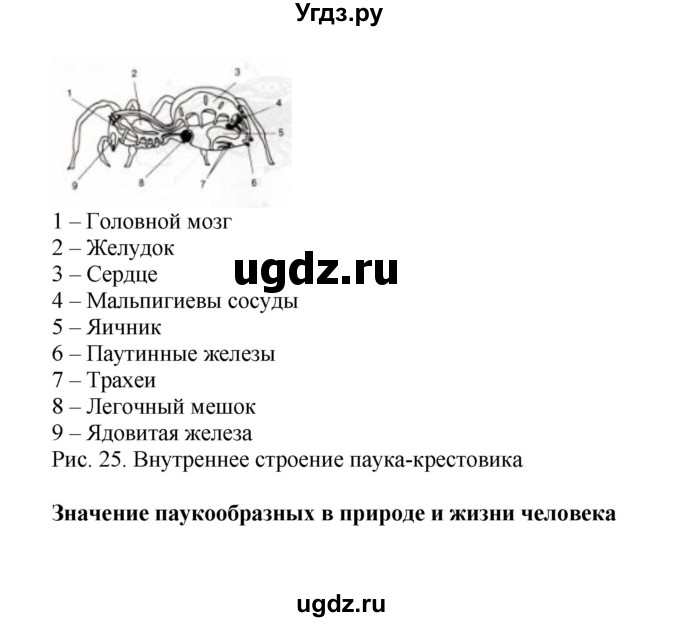 ГДЗ (Решебник) по биологии 7 класс (рабочая тетрадь) Н.Ф. Бодрова / тема 6 (страница) / 48