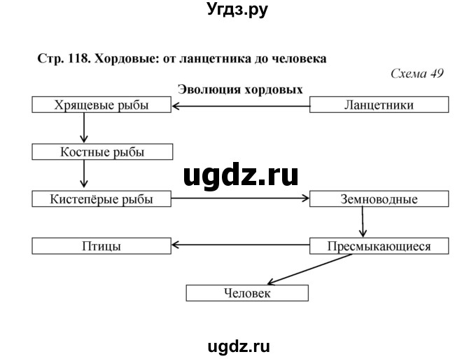 ГДЗ (Решебник) по биологии 7 класс (рабочая тетрадь) Н.Ф. Бодрова / тема 7 (страница) / 118