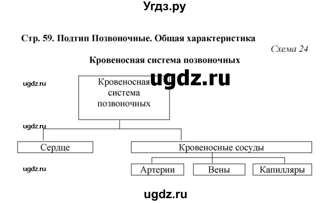 ГДЗ (Решебник) по биологии 7 класс (рабочая тетрадь) Н.Ф. Бодрова / тема 7 (страница) / 59(продолжение 2)