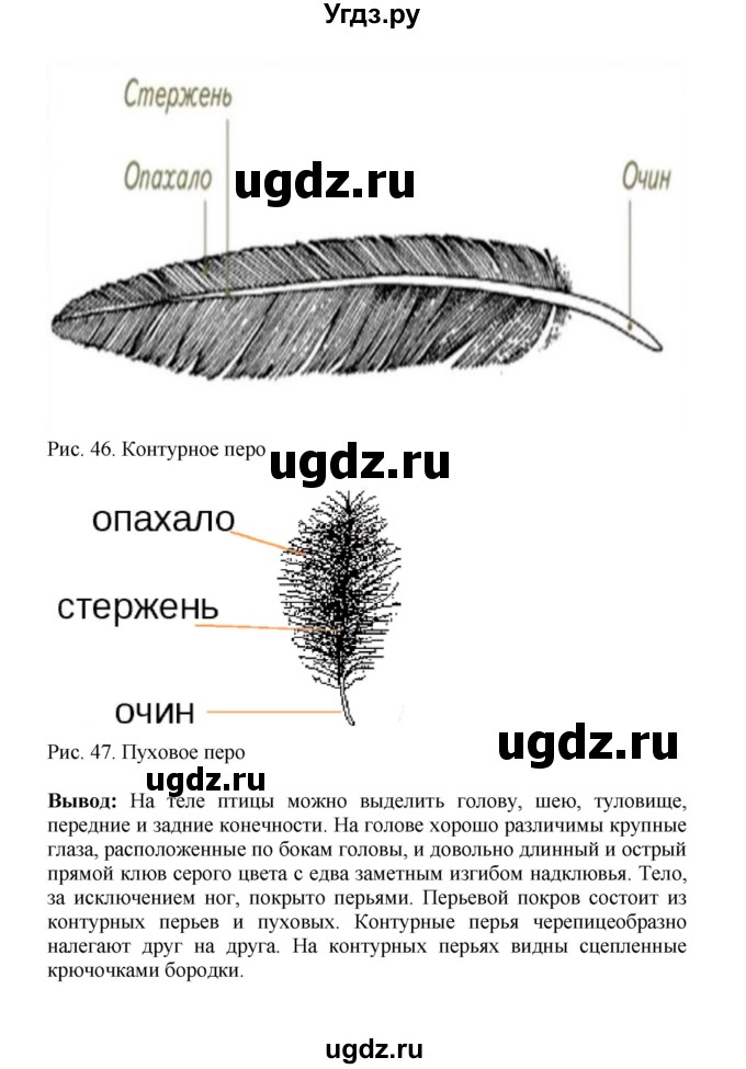 ГДЗ (Решебник) по биологии 7 класс (рабочая тетрадь) Н.Ф. Бодрова / тема 7 (страница) / 88(продолжение 2)