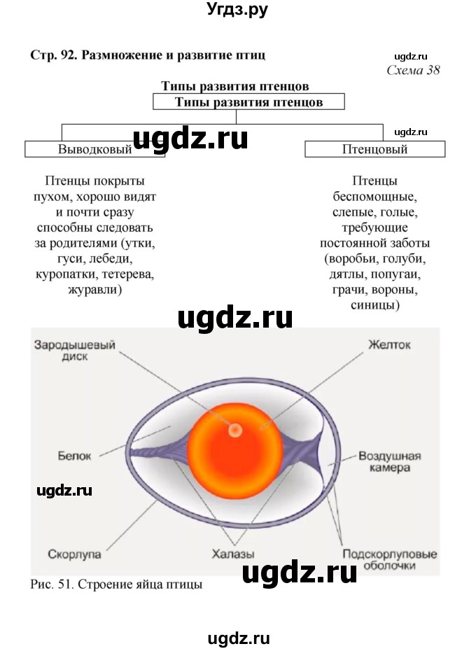 ГДЗ (Решебник) по биологии 7 класс (рабочая тетрадь) Н.Ф. Бодрова / тема 7 (страница) / 92(продолжение 3)