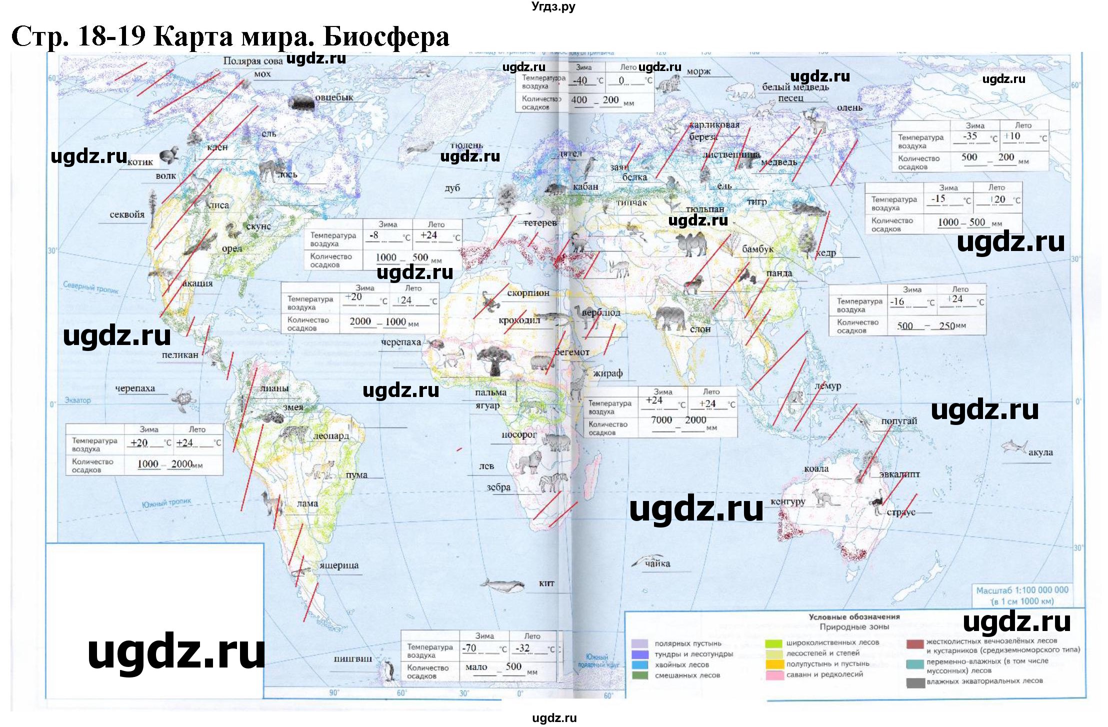 ГДЗ (Решебник) по географии 6 класс (атлас и контурные карты) Летягин А.А. / контурные карты / стр.18-19