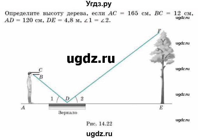 ГДЗ (Учебник) по геометрии 9 класс Смирнов В.А. / §14 / 41(продолжение 2)