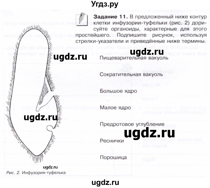 ГДЗ (Тетрадь) по биологии 7 класс (рабочая тетрадь Животные) Суматохин С.В. / задание / 11