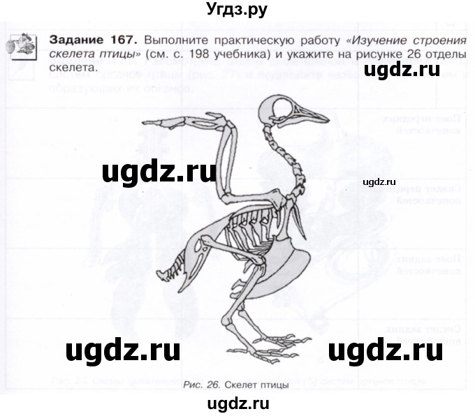 ГДЗ (Тетрадь) по биологии 7 класс (рабочая тетрадь Животные) Суматохин С.В. / задание / 167