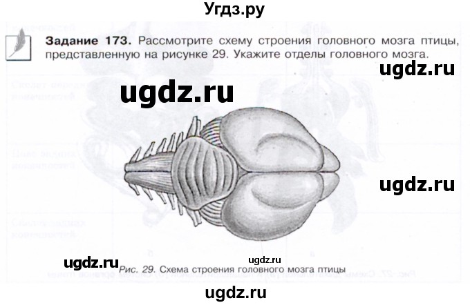 ГДЗ (Тетрадь) по биологии 7 класс (рабочая тетрадь Животные) Суматохин С.В. / задание / 173