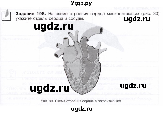 ГДЗ (Тетрадь) по биологии 7 класс (рабочая тетрадь Животные) Суматохин С.В. / задание / 198