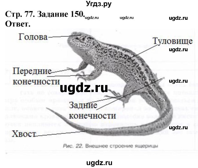 ГДЗ (Решебник) по биологии 7 класс (рабочая тетрадь Животные) Суматохин С.В. / задание / 150