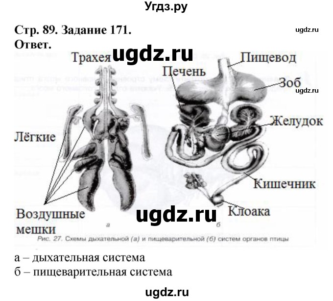 ГДЗ (Решебник) по биологии 7 класс (рабочая тетрадь Животные) Суматохин С.В. / задание / 171