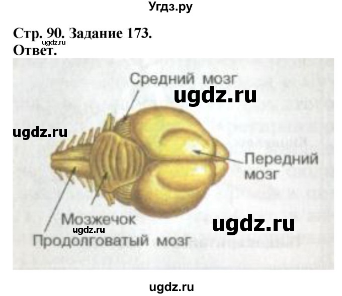 ГДЗ (Решебник) по биологии 7 класс (рабочая тетрадь Животные) Суматохин С.В. / задание / 173