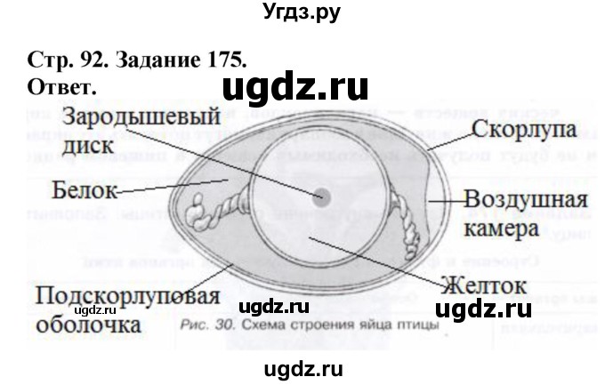 ГДЗ (Решебник) по биологии 7 класс (рабочая тетрадь Животные) Суматохин С.В. / задание / 175