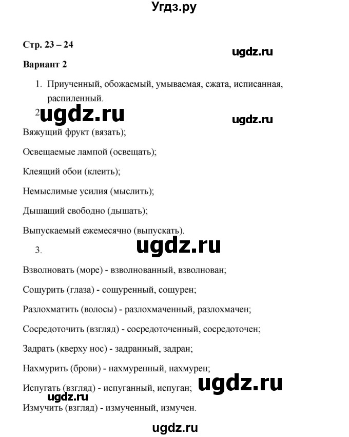 ГДЗ (Решебник) по русскому языку 7 класс (зачётные работы) Л.А. Аксенова / страница / 23-24 Работа 2 (Вариант 2)