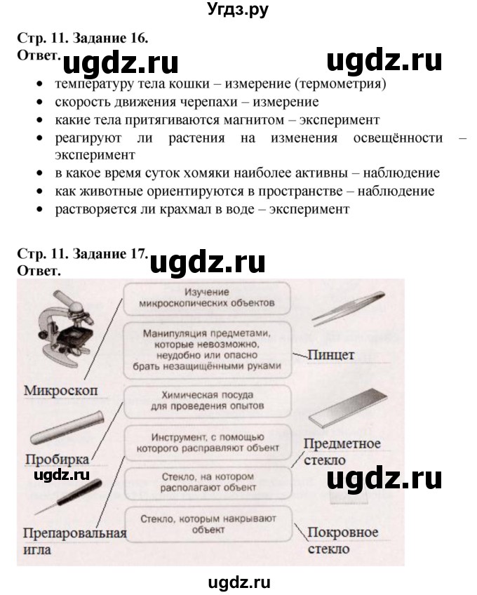 ГДЗ (Решебник) по биологии 5 класс (рабочая тетрадь) Пасечник В.В. / страница / 11