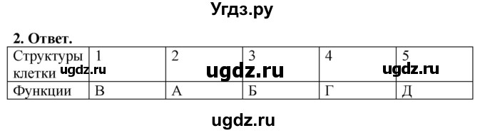 ГДЗ (Решебник) по биологии 5 класс (рабочая тетрадь) Пасечник В.В. / страница / 37