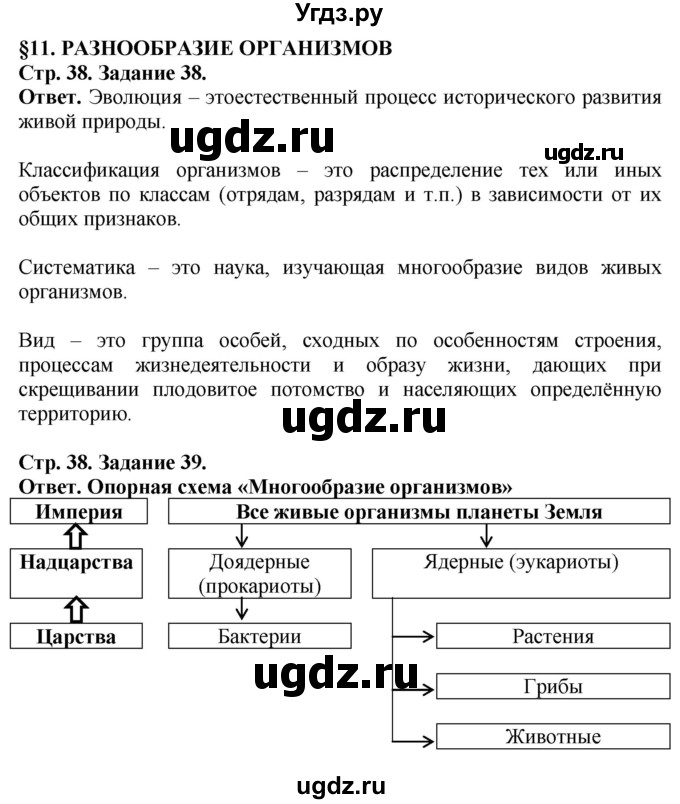 ГДЗ (Решебник) по биологии 5 класс (рабочая тетрадь) Пасечник В.В. / страница / 38