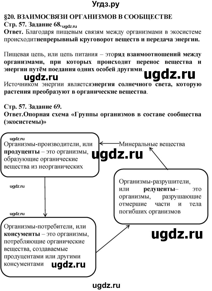 ГДЗ (Решебник) по биологии 5 класс (рабочая тетрадь) Пасечник В.В. / страница / 57