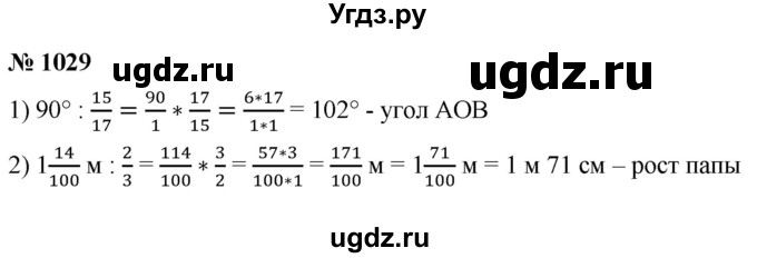 ГДЗ (Решебник №1) по математике 5 класс Ткачева М.В. / упражнение / 1029