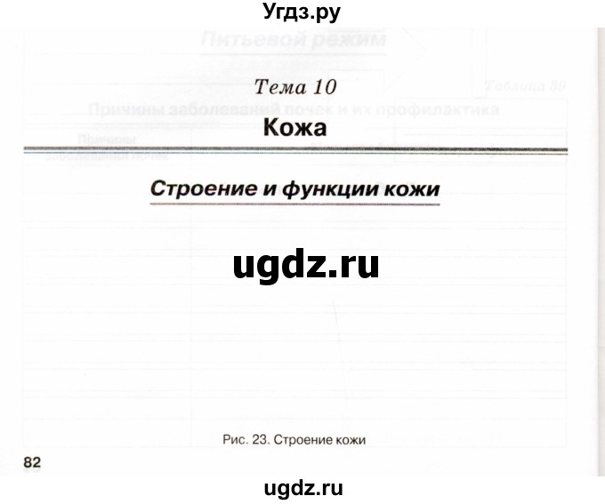 ГДЗ (Учебник) по биологии 8 класс (рабочая тетрадь) Н.Ф. Бодрова / страница / 82