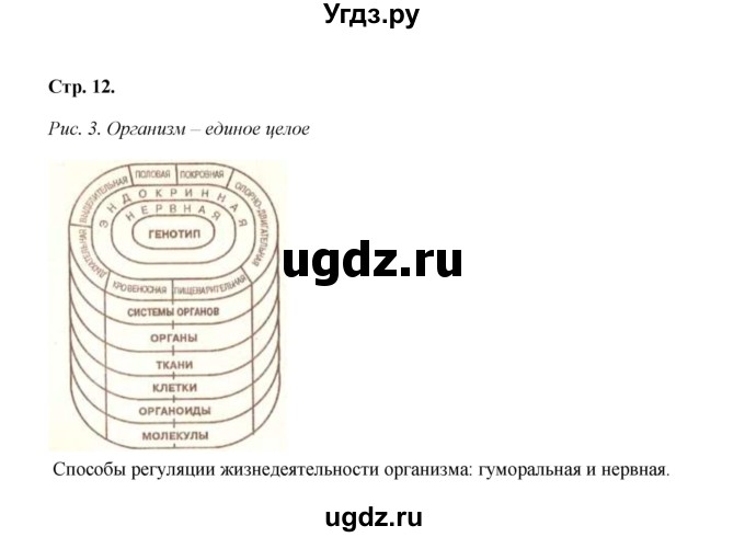 ГДЗ (Решебник) по биологии 8 класс (рабочая тетрадь) Н.Ф. Бодрова / страница / 12