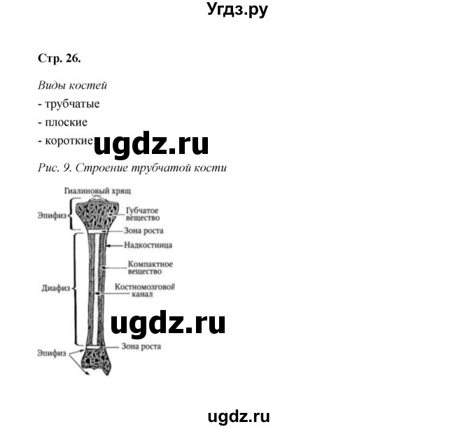 ГДЗ (Решебник) по биологии 8 класс (рабочая тетрадь) Н.Ф. Бодрова / страница / 26