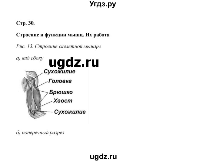 ГДЗ (Решебник) по биологии 8 класс (рабочая тетрадь) Н.Ф. Бодрова / страница / 30