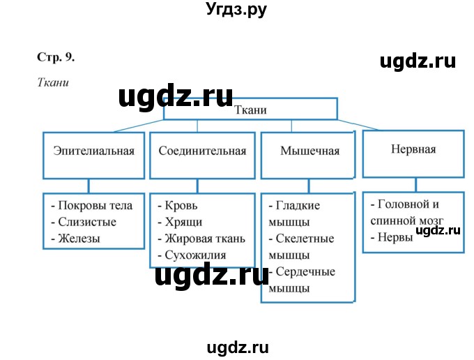 ГДЗ (Решебник) по биологии 8 класс (рабочая тетрадь) Н.Ф. Бодрова / страница / 9(продолжение 2)