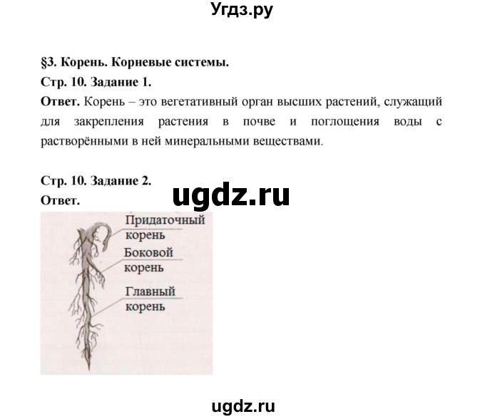 ГДЗ (Решебник) по биологии 6 класс (рабочая тетрадь) В.И. Сивоглазов / страница / 10(продолжение 2)