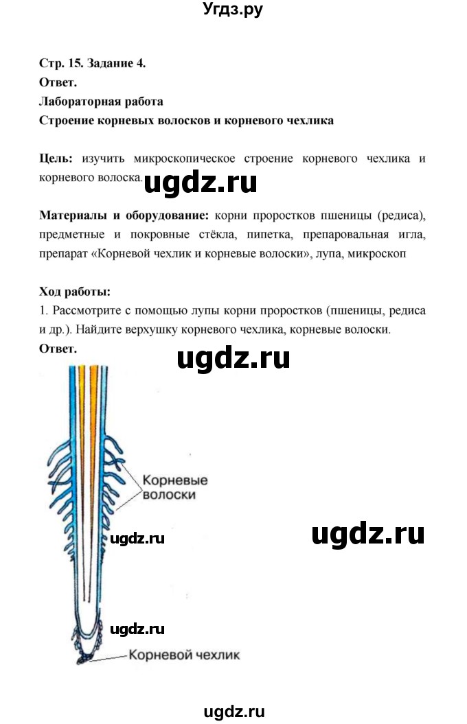 ГДЗ (Решебник) по биологии 6 класс (рабочая тетрадь) В.И. Сивоглазов / страница / 15(продолжение 2)