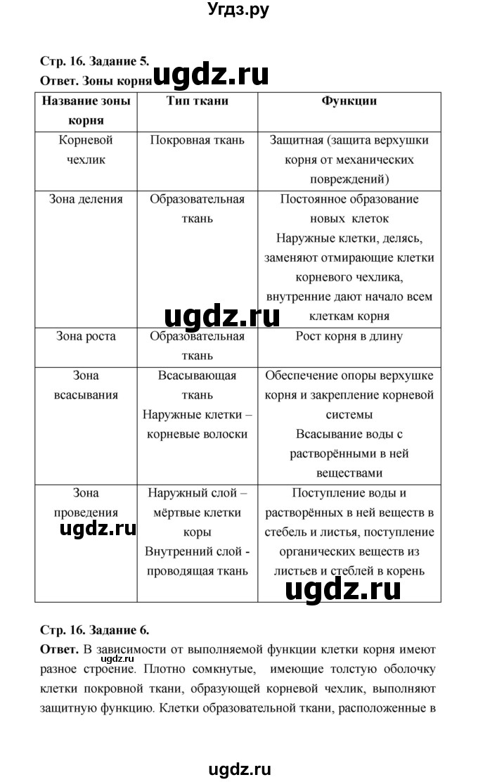 ГДЗ (Решебник) по биологии 6 класс (рабочая тетрадь) В.И. Сивоглазов / страница / 16