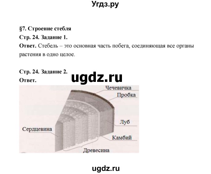 ГДЗ (Решебник) по биологии 6 класс (рабочая тетрадь) В.И. Сивоглазов / страница / 24(продолжение 2)