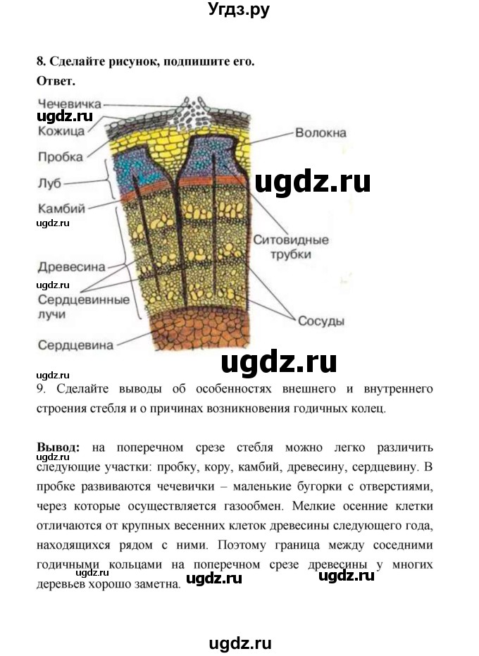 ГДЗ (Решебник) по биологии 6 класс (рабочая тетрадь) В.И. Сивоглазов / страница / 25(продолжение 4)