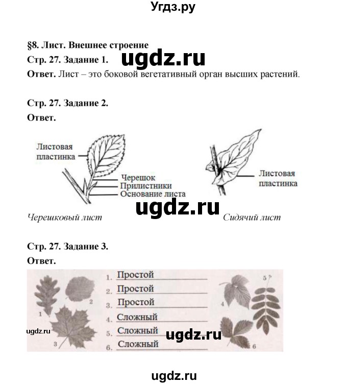 ГДЗ (Решебник) по биологии 6 класс (рабочая тетрадь) В.И. Сивоглазов / страница / 27(продолжение 2)