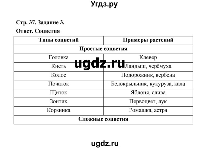 ГДЗ (Решебник) по биологии 6 класс (рабочая тетрадь) В.И. Сивоглазов / страница / 38