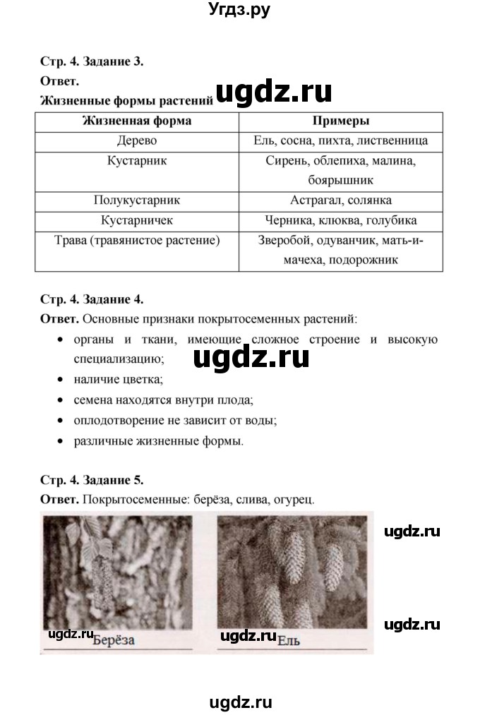 ГДЗ (Решебник) по биологии 6 класс (рабочая тетрадь) В.И. Сивоглазов / страница / 4