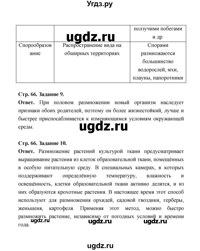 ГДЗ (Решебник) по биологии 6 класс (рабочая тетрадь) В.И. Сивоглазов / страница / 66(продолжение 2)