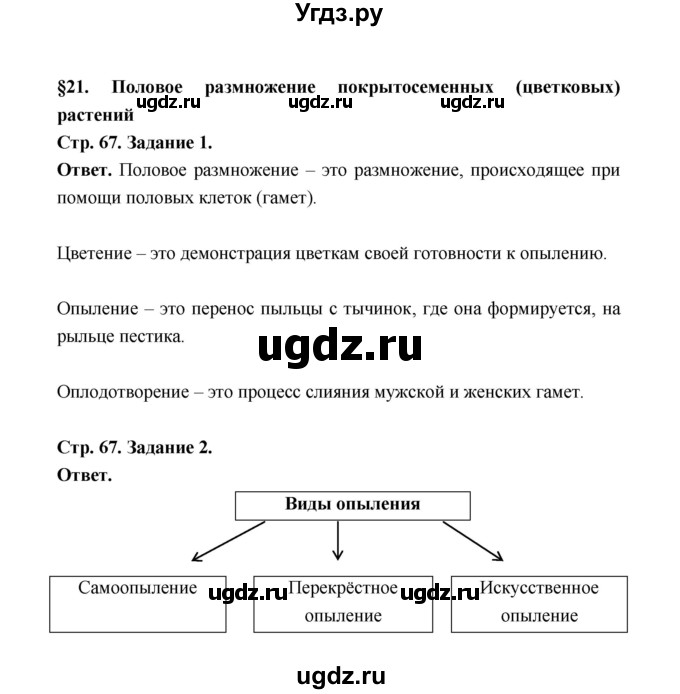 ГДЗ (Решебник) по биологии 6 класс (рабочая тетрадь) В.И. Сивоглазов / страница / 67