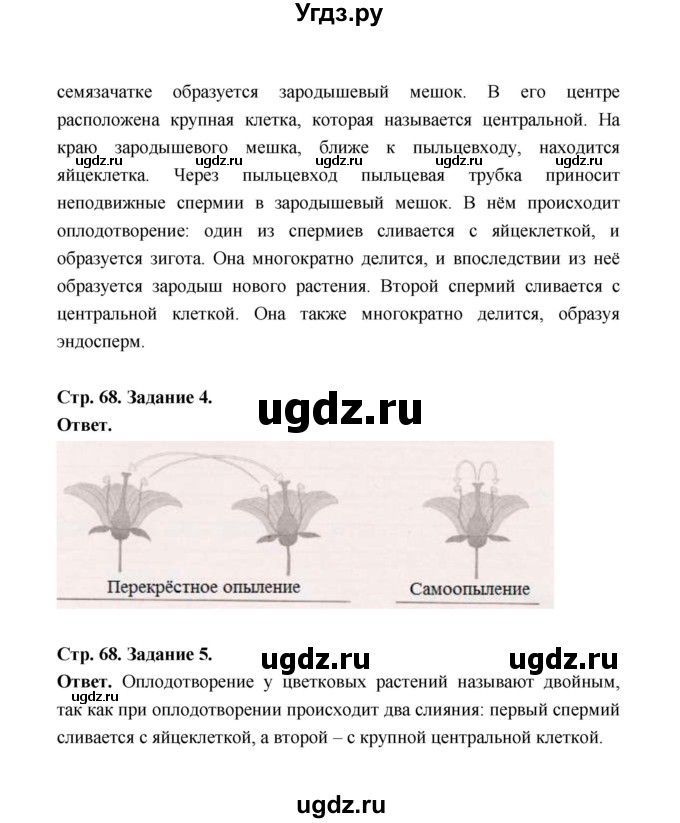 ГДЗ (Решебник) по биологии 6 класс (рабочая тетрадь) В.И. Сивоглазов / страница / 68(продолжение 2)