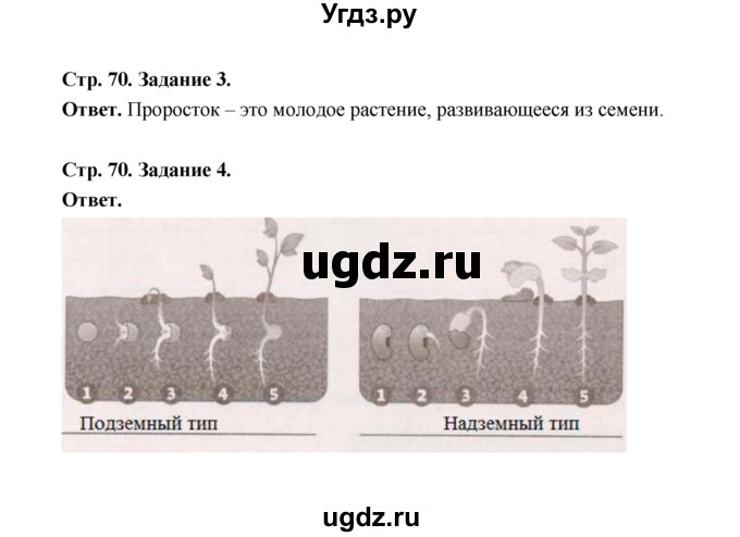 ГДЗ (Решебник) по биологии 6 класс (рабочая тетрадь) В.И. Сивоглазов / страница / 70