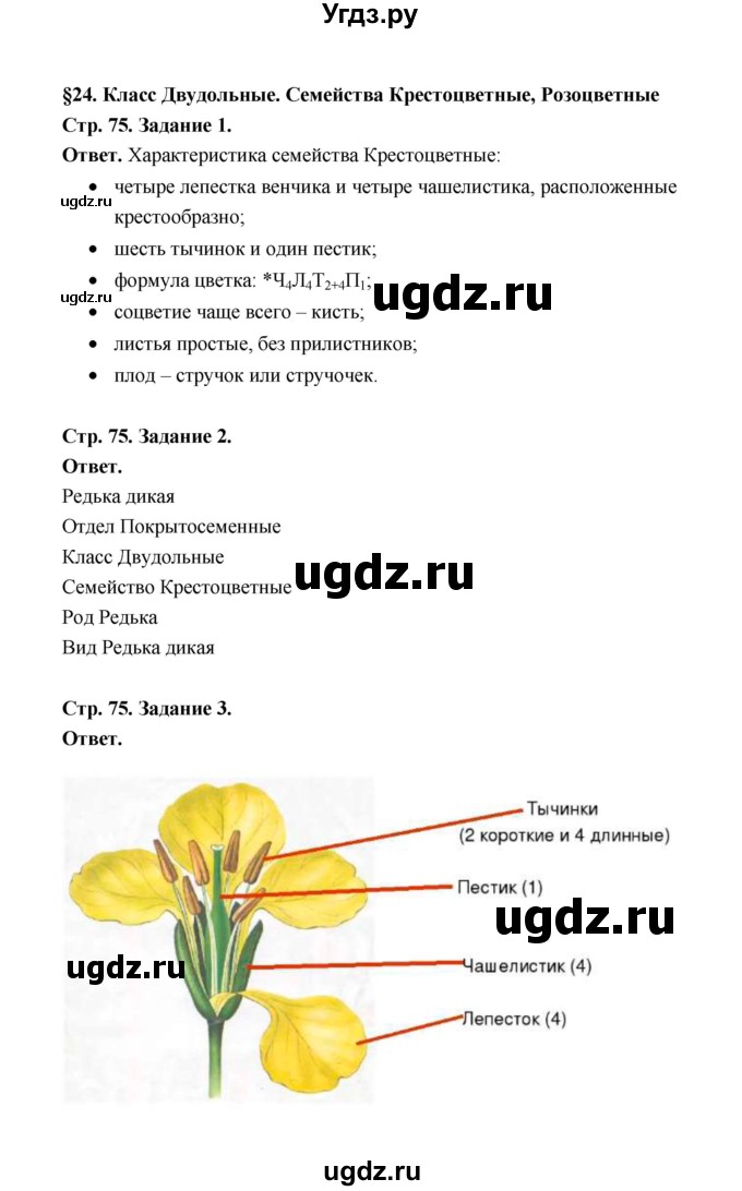 ГДЗ (Решебник) по биологии 6 класс (рабочая тетрадь) В.И. Сивоглазов / страница / 75