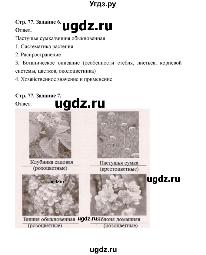 ГДЗ (Решебник) по биологии 6 класс (рабочая тетрадь) В.И. Сивоглазов / страница / 77