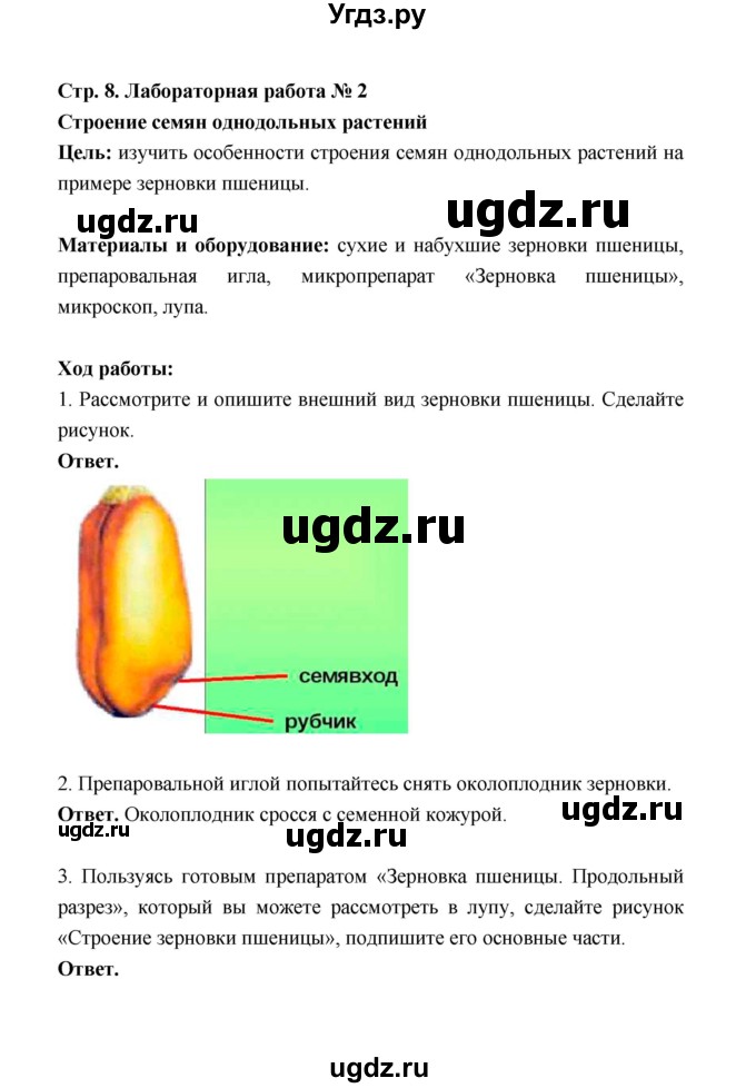 ГДЗ (Решебник) по биологии 6 класс (рабочая тетрадь) В.И. Сивоглазов / страница / 8