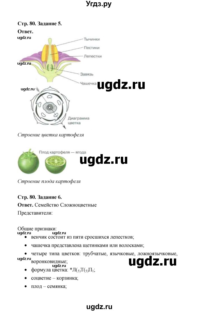 ГДЗ (Решебник) по биологии 6 класс (рабочая тетрадь) В.И. Сивоглазов / страница / 80