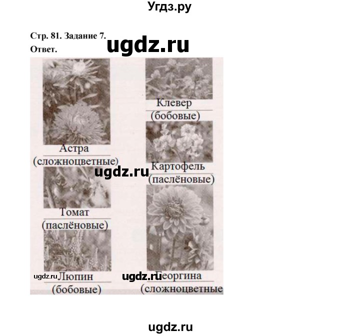 ГДЗ (Решебник) по биологии 6 класс (рабочая тетрадь) В.И. Сивоглазов / страница / 81