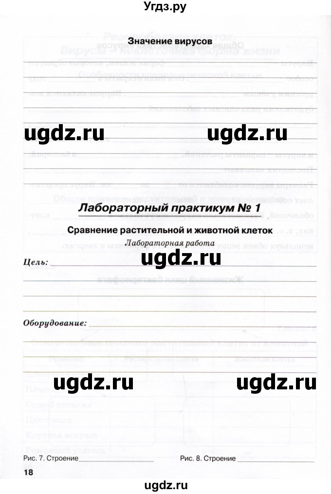 ГДЗ (Учебник) по биологии 9 класс (рабочая тетрадь) Н.Ф. Бодрова / страница / 18