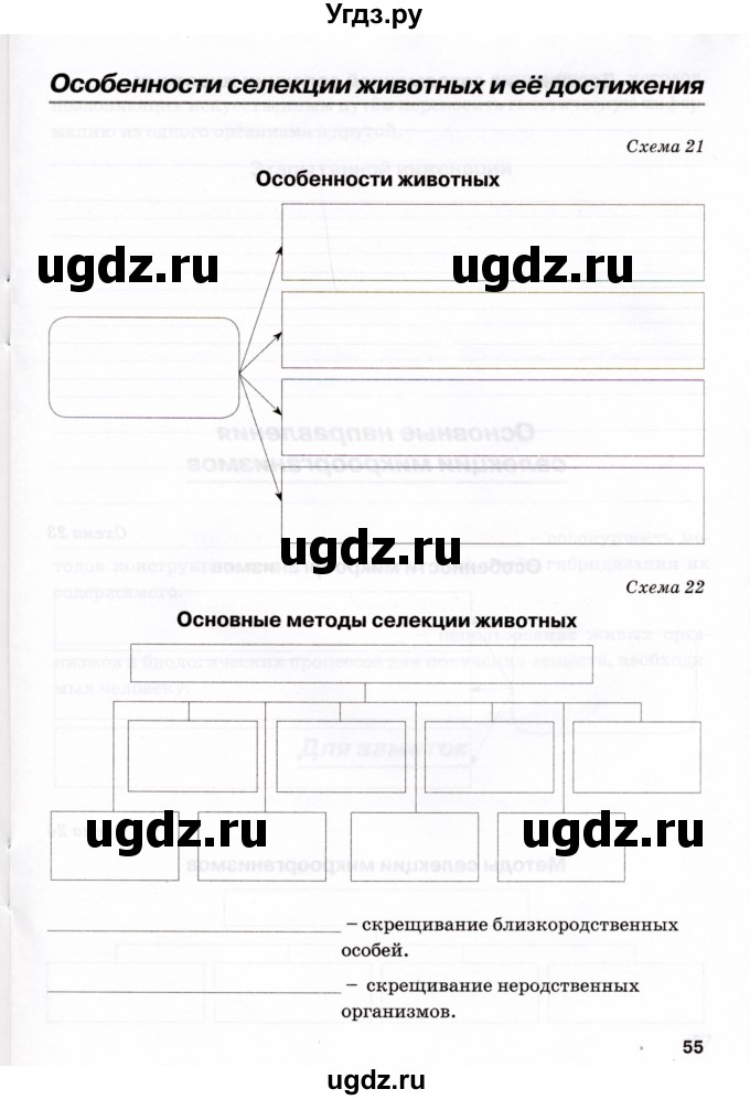 ГДЗ (Учебник) по биологии 9 класс (рабочая тетрадь) Н.Ф. Бодрова / страница / 55