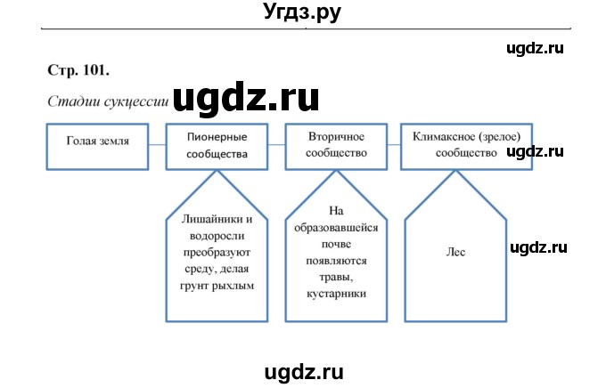 ГДЗ (Решебник) по биологии 9 класс (рабочая тетрадь) Н.Ф. Бодрова / страница / 101