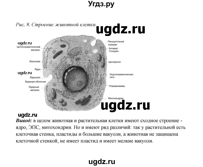 ГДЗ (Решебник) по биологии 9 класс (рабочая тетрадь) Н.Ф. Бодрова / страница / 18(продолжение 2)