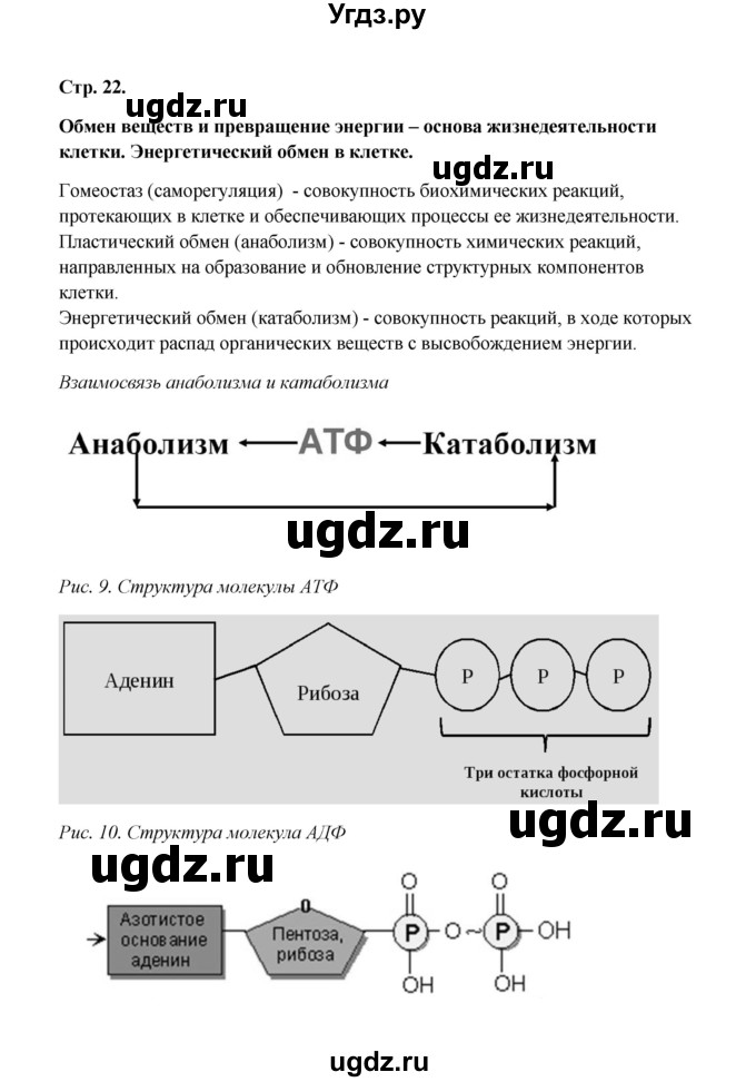 ГДЗ (Решебник) по биологии 9 класс (рабочая тетрадь) Н.Ф. Бодрова / страница / 22