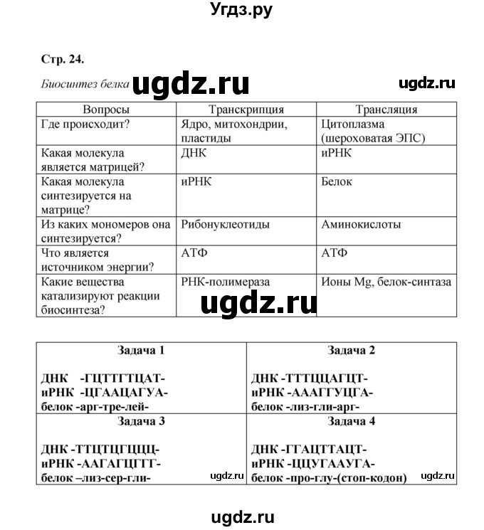 ГДЗ (Решебник) по биологии 9 класс (рабочая тетрадь) Н.Ф. Бодрова / страница / 24