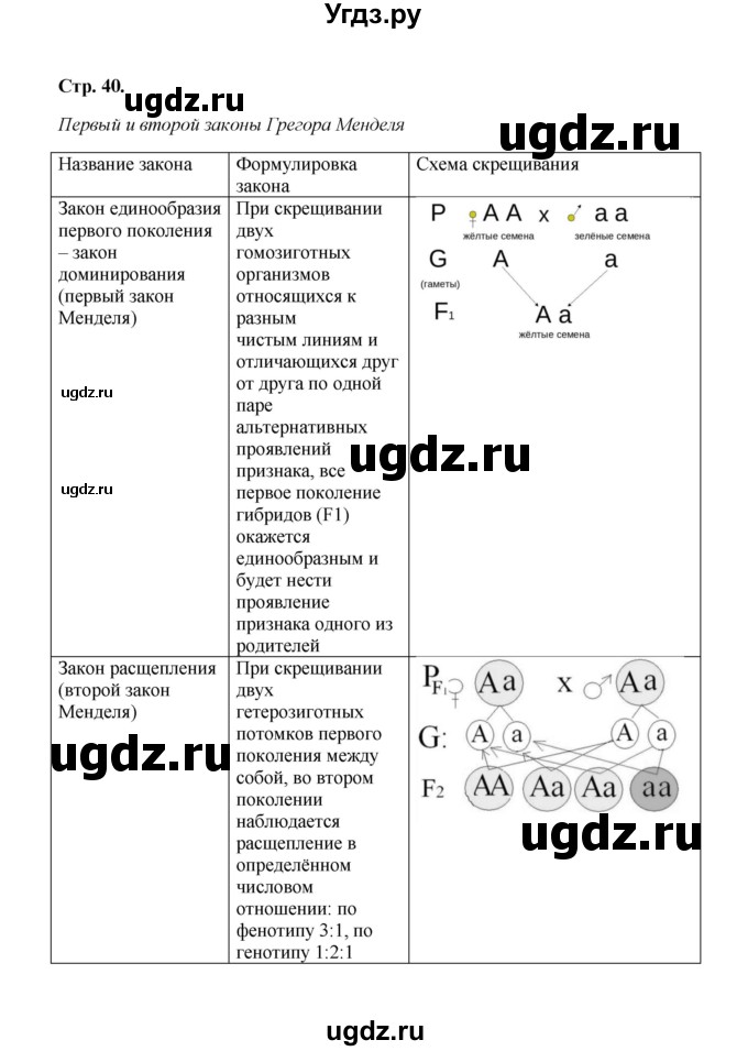 ГДЗ (Решебник) по биологии 9 класс (рабочая тетрадь) Н.Ф. Бодрова / страница / 40